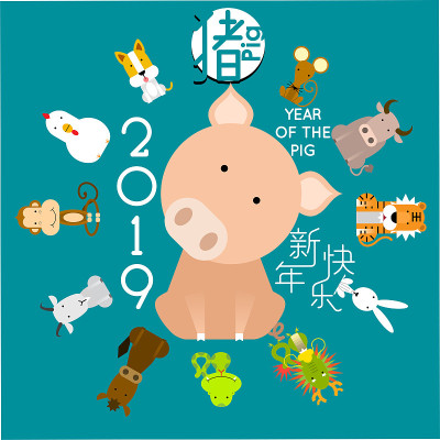 2019年农历猪年快乐!中文翻译:新年快乐，猪。