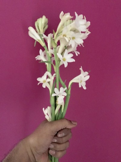 晚香玉鲜花花束