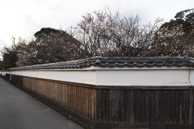 萩城的城堡