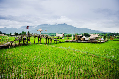 普吉寺的稻田、山脉和小屋