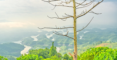 清晨的大粪湖景观