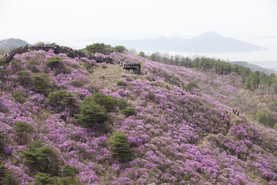 杜丽花;戈里奥桑：