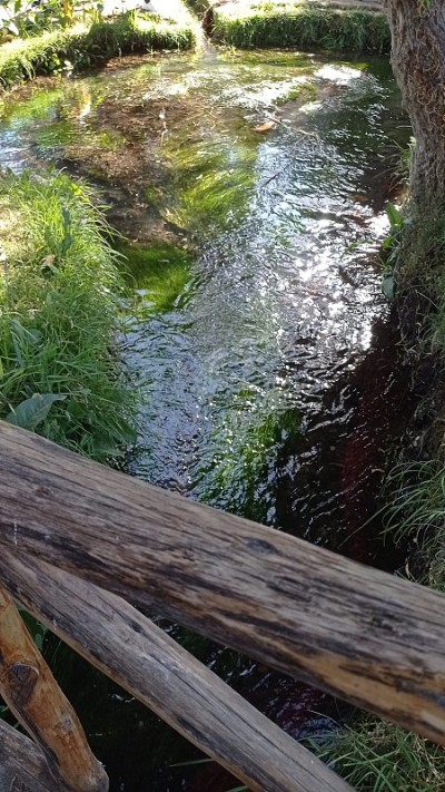 小溪