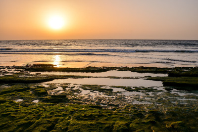 海洋海岸的观点