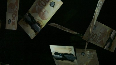 落在空中的加拿大元钞票上的黑色背景。高质量的跌落美元钞票