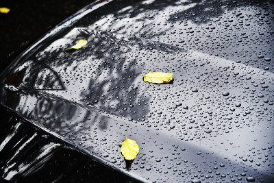 十月雨