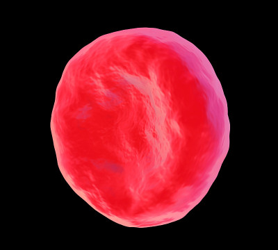 red blood cell