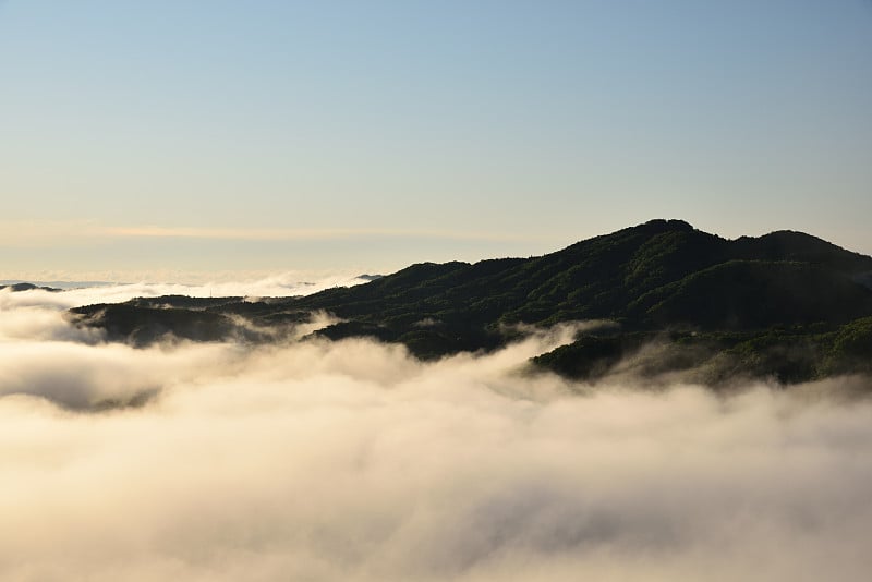 清晨的云海