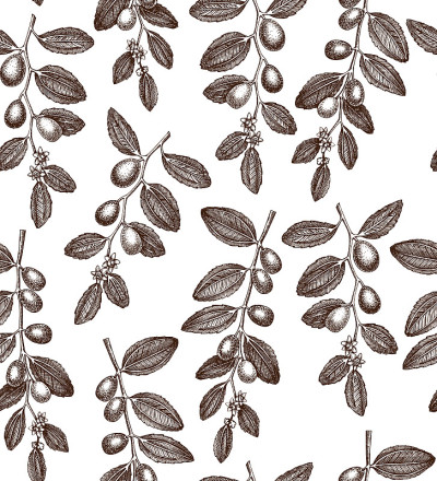 Jojoba seamless pattern