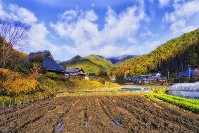 JP Ohara村的黑土