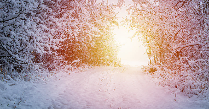 全景灌木冻结隧道与雪和太阳。捷克景观