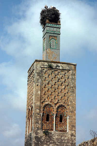 摩洛哥拉巴特的Kasbah Chellah
