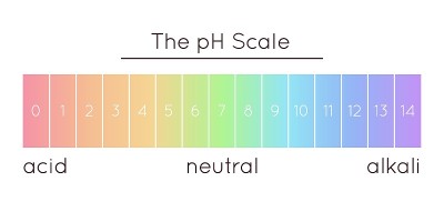 pH值范围图。彩虹矢量插图