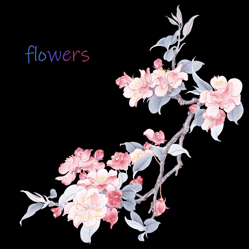 优雅的水彩花