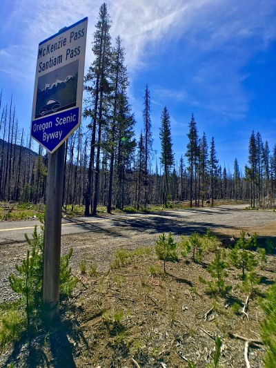 麦肯齐pass santiam pass俄勒冈风景绕道标志-全景