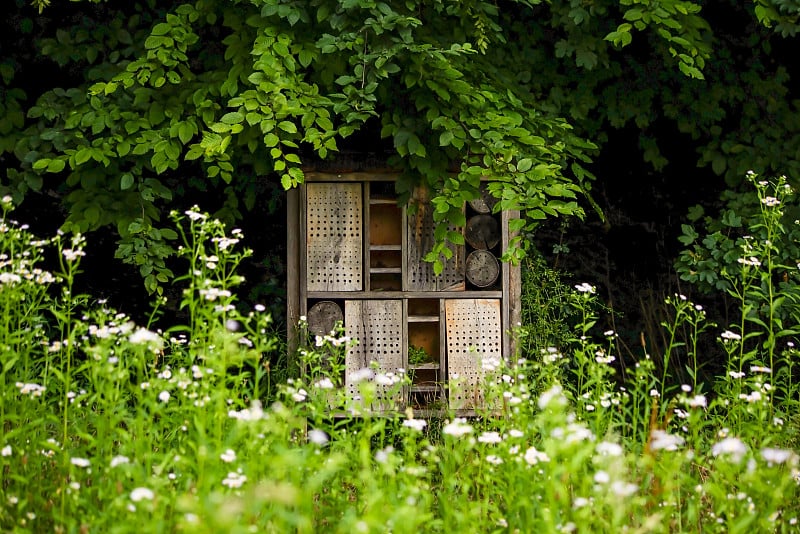 昆虫住在花园里。虫旅馆在公园的花圃里。