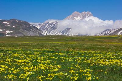 花团锦簇的美景
