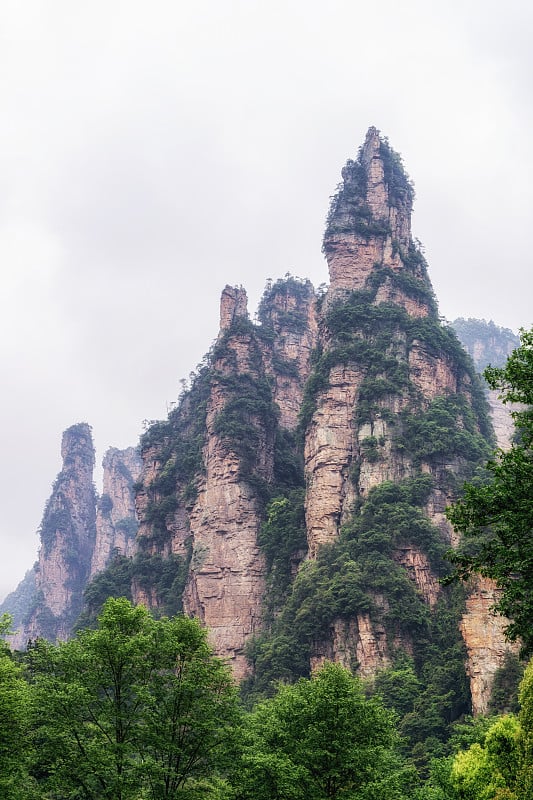 杨家界高耸的山峰