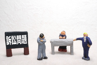 诉讼问题