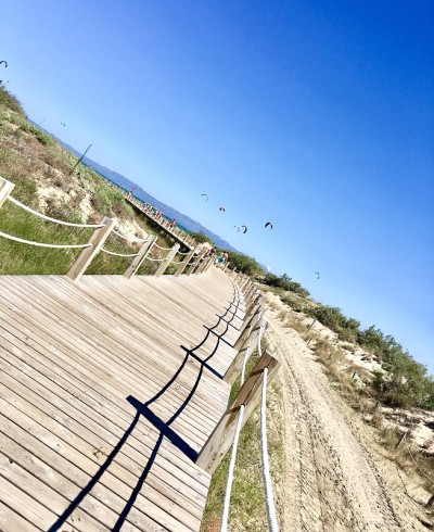 风筝的风筝冲浪在海滩上飞翔