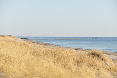 日落时波罗的海的沙岸(海滩、沙丘)。沙丘草特写。立陶宛全景图(帕兰加)从海岸的佩普村，拉脱维亚。春天