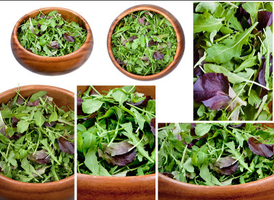 rucola