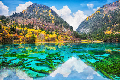 在九寨沟自然(九寨沟国家公园)的秋林中，五花湖(五花湖)清澈的水令人惊叹的景色。