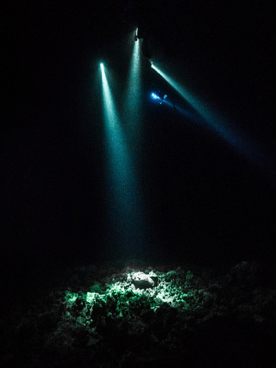 夜间水下的光线