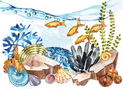海洋生物景观-海洋和水下世界不同的居民。水族馆的概念海报，t恤，标签，网站，明信片
