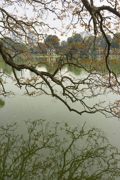 龟塔