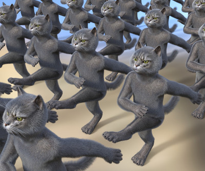猫在蓝色上排成整齐的队形