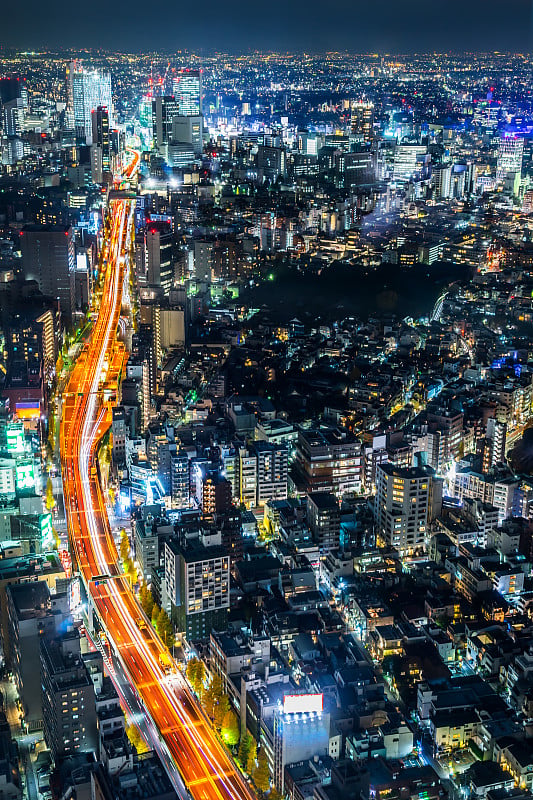 涩谷，新宿和东京高速公路的全景现代城市天际线