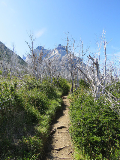 智利巴塔哥尼亚Torres del Paine: Paine号角