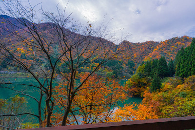 秋谷的风景