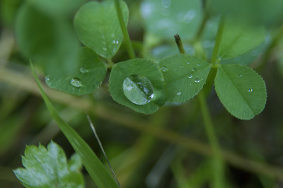 雨滴