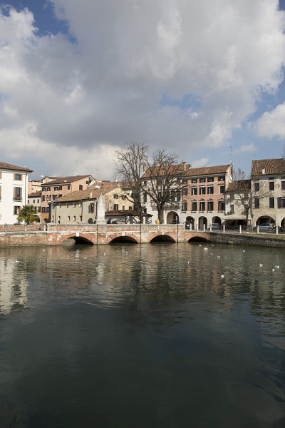 339年mes09581.jpg