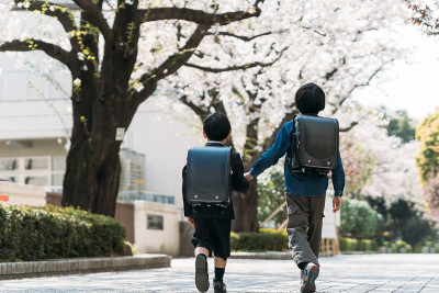 日本小学高年级学生和一年级学生在十字路口举手