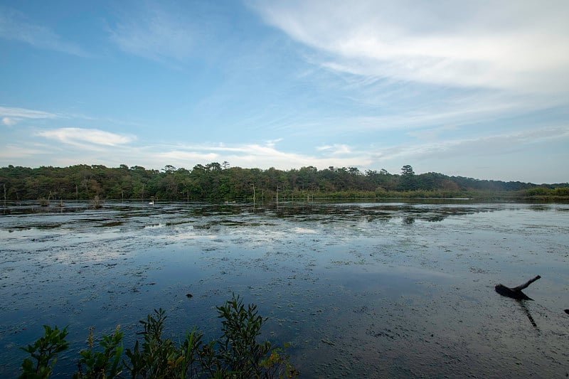 纽约长岛南港湾县公园的卡曼河风景5号