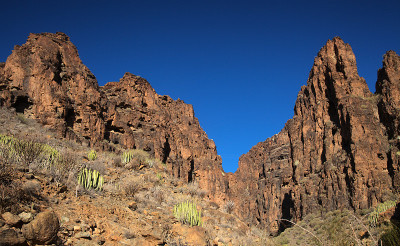 大卡纳里亚岛，沿着ravive Barranco Hondo的徒步旅行路线，岛屿南部的深峡谷，充满了