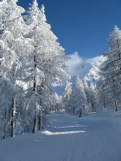 大雪