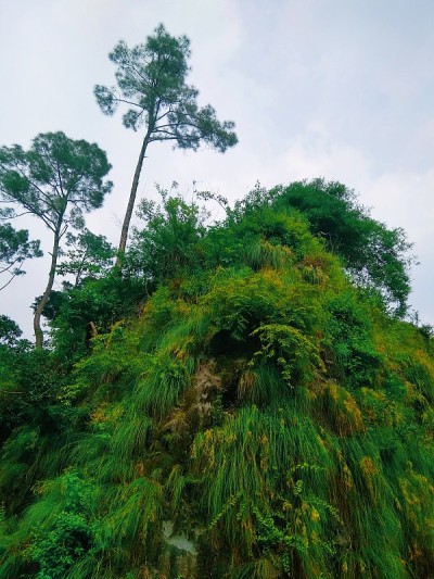 小的山景