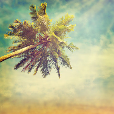 beach-34