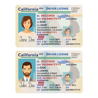 Vector template of sample driver license plastic c