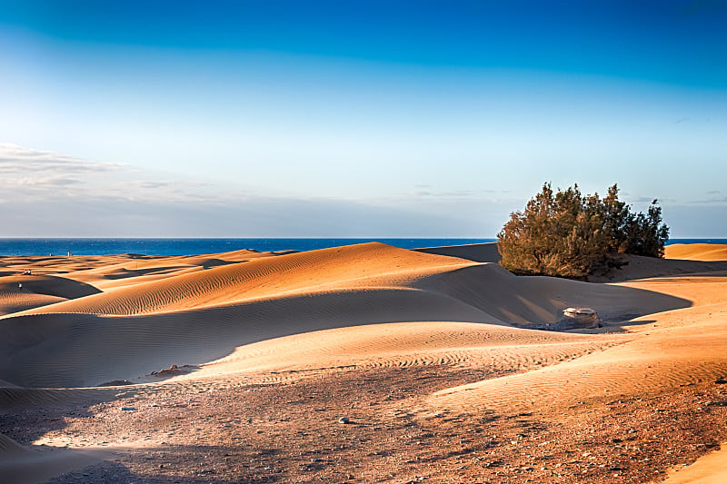 沙丘Maspalomas