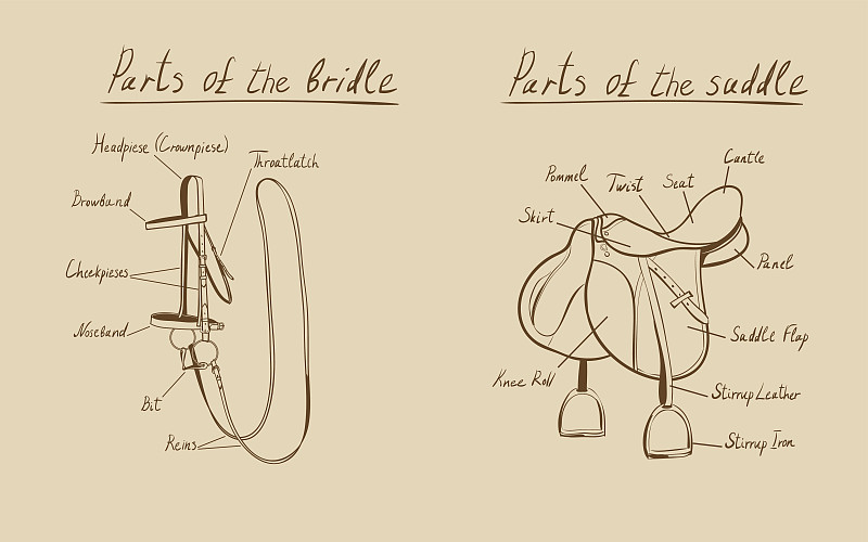 马鞍和缰绳的部分，矢量