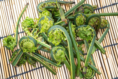 日本野菜