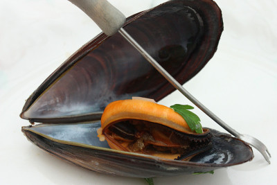 贻贝烹饪