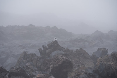 壮观的火山景观。