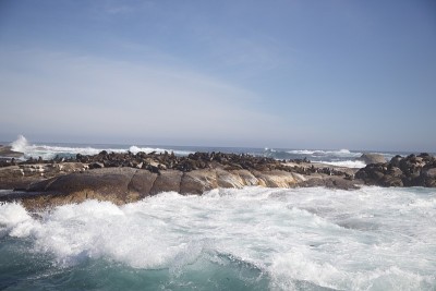 海豹岛