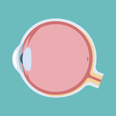 eyeball